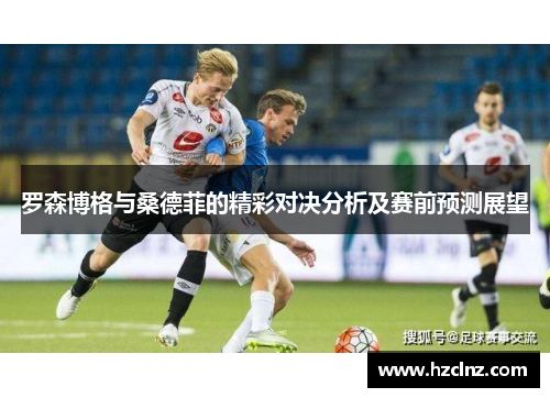 罗森博格与桑德菲的精彩对决分析及赛前预测展望